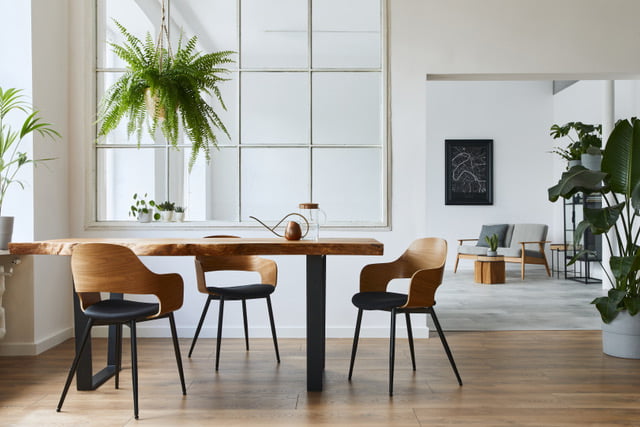 Stylish and botany interior of dining room with design craft wooden table, chairs, a lof of plants, window, poster map and elegant accessories in modern home decor. Template.